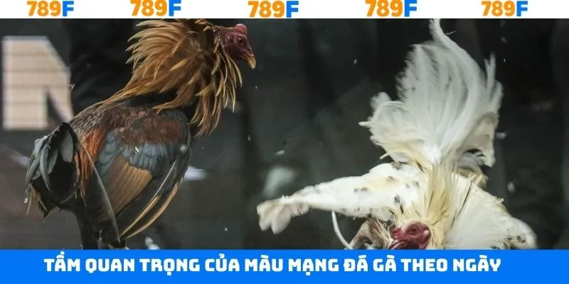 Điều quan trọng trong việc chọn màu mạng bạn cần nắm