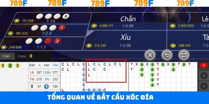 Khái niệm chung về bắt cầu xóc đĩa