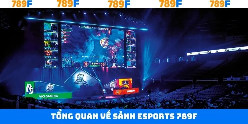 Thông tin sơ lược cần biết về Esports 789F