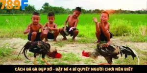 Cách Đá Gà Đẹp Xổ - Bật Mí 4 Bí Quyết Người Chơi Nên Biết