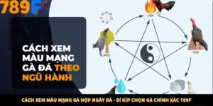 Cách Xem Màu Mạng Gà Hợp Ngày Đá - Bí Kíp Chọn Gà Chính Xác 789F