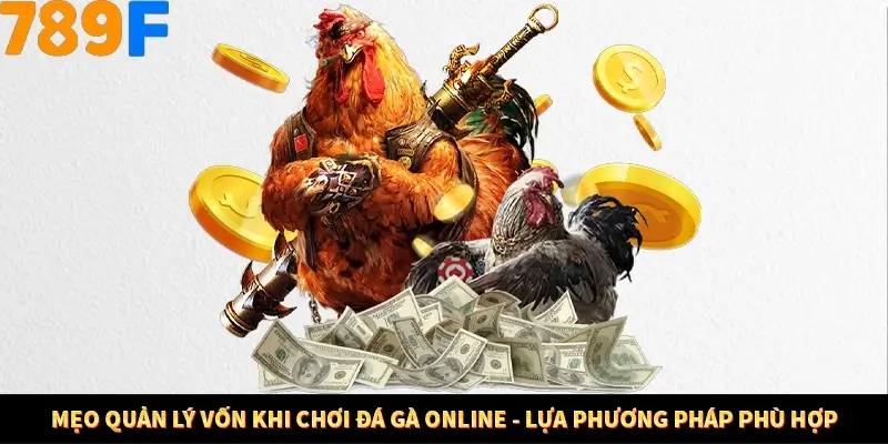 Mẹo quản lý vốn khi chơi đá gà online - Lựa phương pháp phù hợp