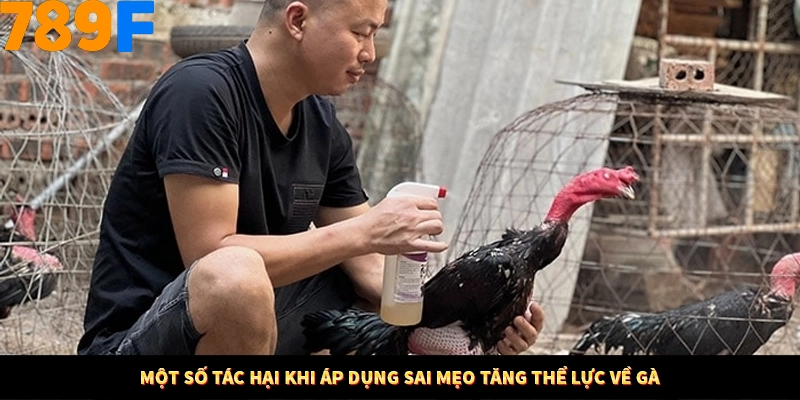 Nổ Hũ Online 789F Có Kiểm Soát Thuật Toán Không 9 Một số tác hại khi áp dụng sai mẹo tăng thể lực về gà