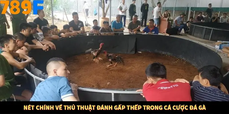 Nổ Hũ Online 789F Có Kiểm Soát Thuật Toán Không 7 Nét chính về thủ thuật đánh gấp thếp trong cá cược đá gà