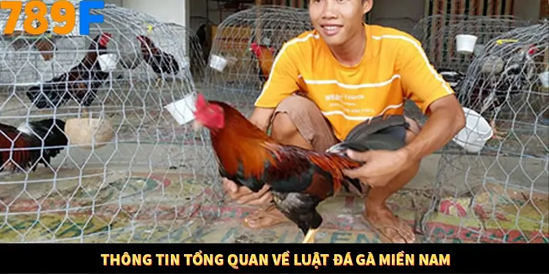 Thông tin tổng quan về luật đá gà miền Nam