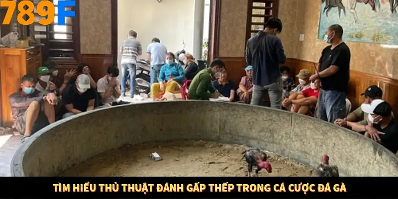 Nổ Hũ Online 789F Có Kiểm Soát Thuật Toán Không 8 Tìm hiểu thủ thuật đánh gấp thếp trong cá cược đá gà
