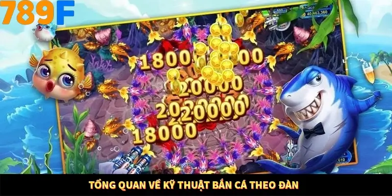 Tổng quan về kỹ thuật bắn cá theo đàn