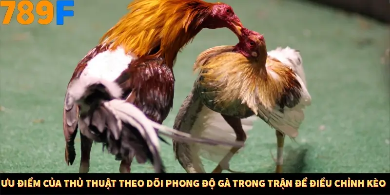 Nổ Hũ Online 789F Có Kiểm Soát Thuật Toán Không 9 Ưu điểm của kỹ thuật theo dõi tốc độ gà trong trận để điều chỉnh