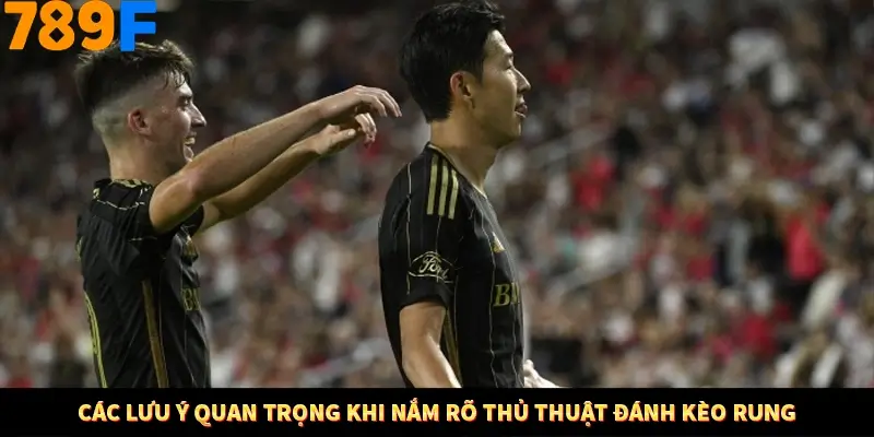 Các lưu ý quan trọng khi nắm rõ thủ thuật đánh kèo rung