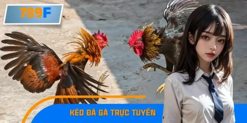 Kinh Nghiệm Bắt Kèo Đá Gà Trực Tuyến Dễ Hiểu Nhất Cho Tay Mơ