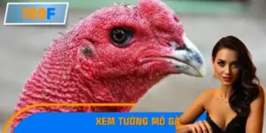 Mẹo Xem Tướng Mỏ Gà Chuẩn Sư Kê