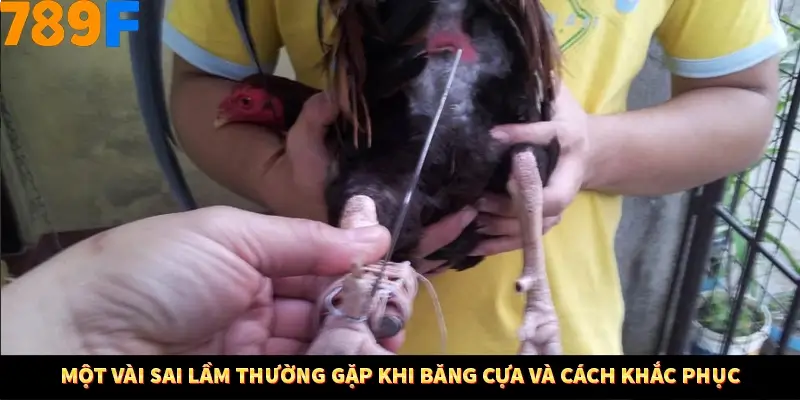 Một vài sai lầm thường gặp khi băng cựa và cách khắc phục