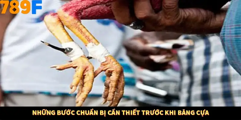 Những bước chuẩn bị cần thiết trước khi băng cựa