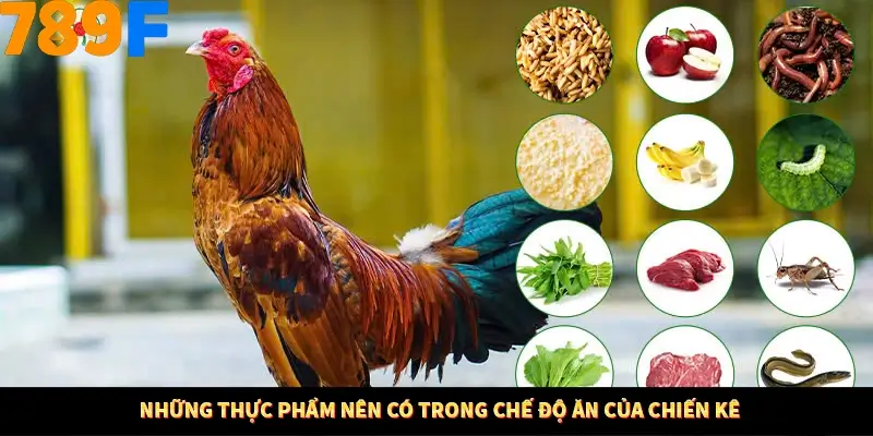 Những thực phẩm nên có trong chế độ ăn của chiến kê