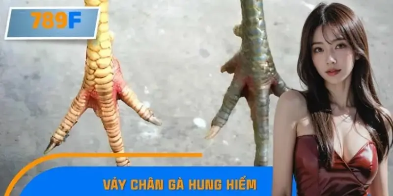 Thủ Thuật Xem Vảy Chân Gà Hung Hiểm, Nhận Diện Đúng Chiến Kê
