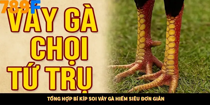 Tổng hợp bí kíp soi vảy gà hiếm siêu đơn giản